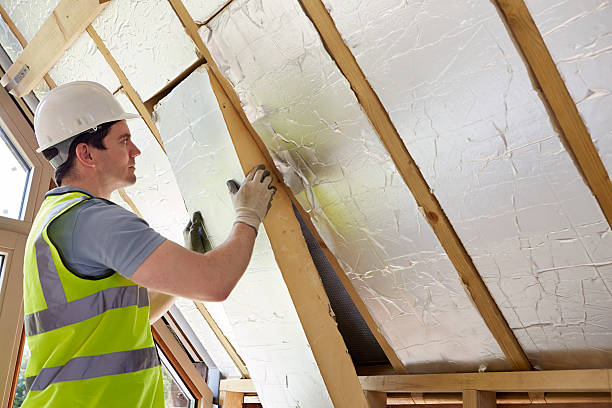 Best Insulation Installation Services in Catlettsburg, KY